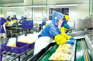 福建夷山物产食品实业公司农产品远销海外