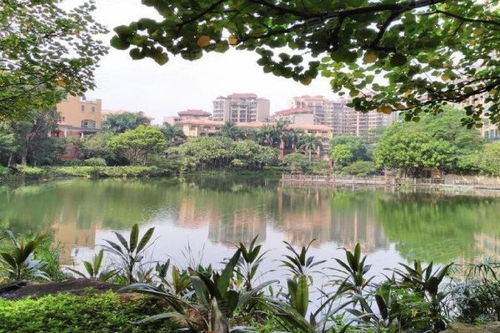 东骏豪苑优点 不足,东骏豪苑怎么样,东骏豪苑周边房产中介经纪人评价 东莞安居客