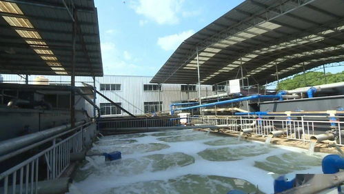 东骏纺织 工业用水回用率75 废水趋零排放