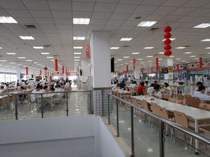 曾经的思域车主参观完东风本田工厂后,说说内心复杂的感受 仕说