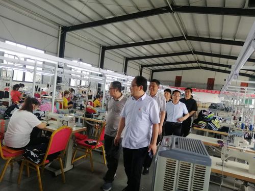 东王集乡 专家一线调研座谈解难题 强村富民开新篇