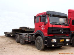 广州鑫茂物流 广州市太和镇淇骏货运市场c栋1 3档 珠三角至福建 重庆 浙江 上海 江苏 武汉 河南 广西 湖南 贵州 昆明 海南 西宁 乌鲁木齐 山东 河北 郑州 北京 西安 兰州 合肥 东北三省 汕头各地的回头车 产品展厅