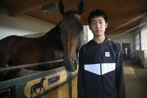 生力军大量涌现 2020 东马国际 马术场地障碍东北联赛沈阳东骏站圆满举行