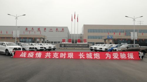 火力全开的长城炮：赢在中国，走向世界